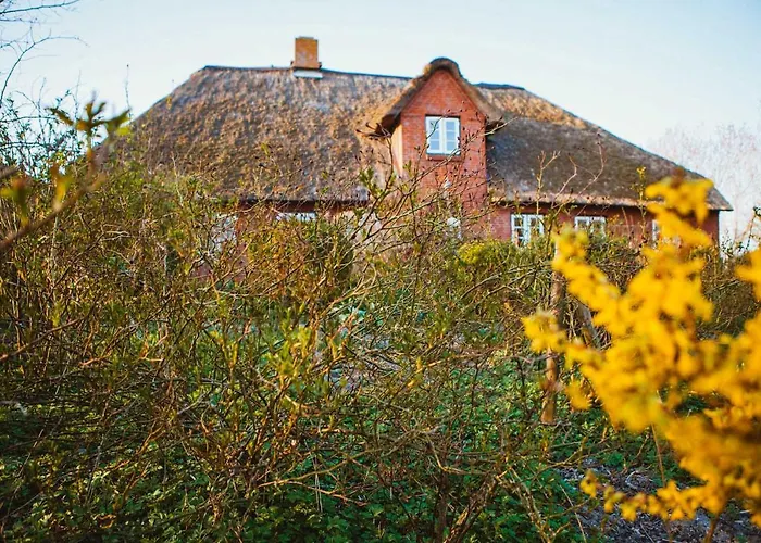 Watt N Glueck Gruener Deich منزل ريفي *