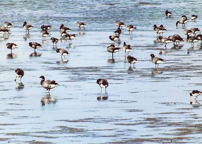 Watt N Glueck Gruener Deich منزل ريفي